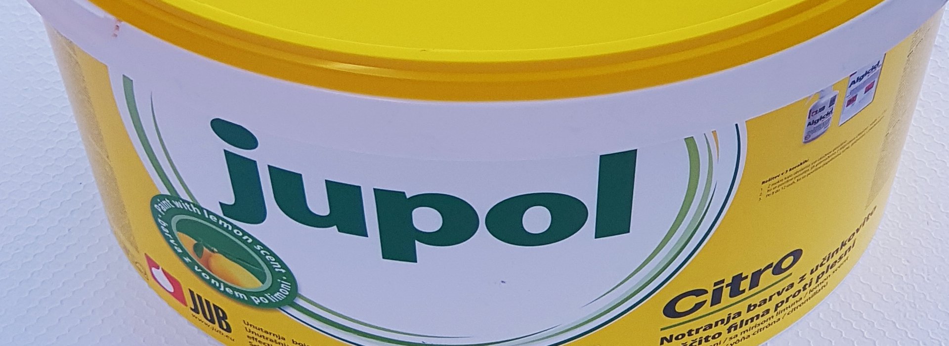 Kako odstraniti plesen v prostoru